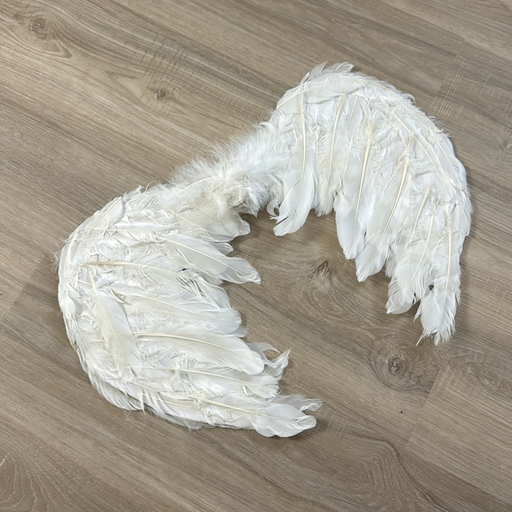 White Feather Angel Wings
